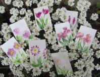 Peinture encaustique fleurs roses pour cartes cadeaux